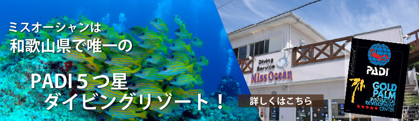 コース画像