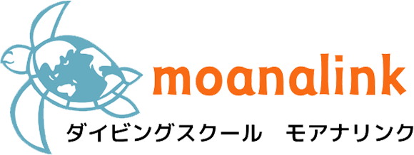 コース画像